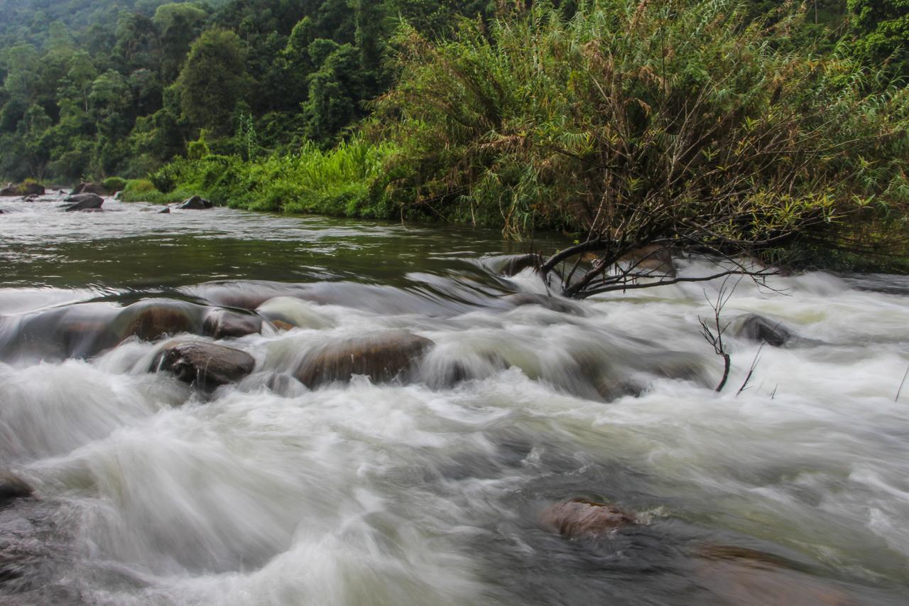 Adventure Base Camp Hotel Kitulgala Bagian luar foto