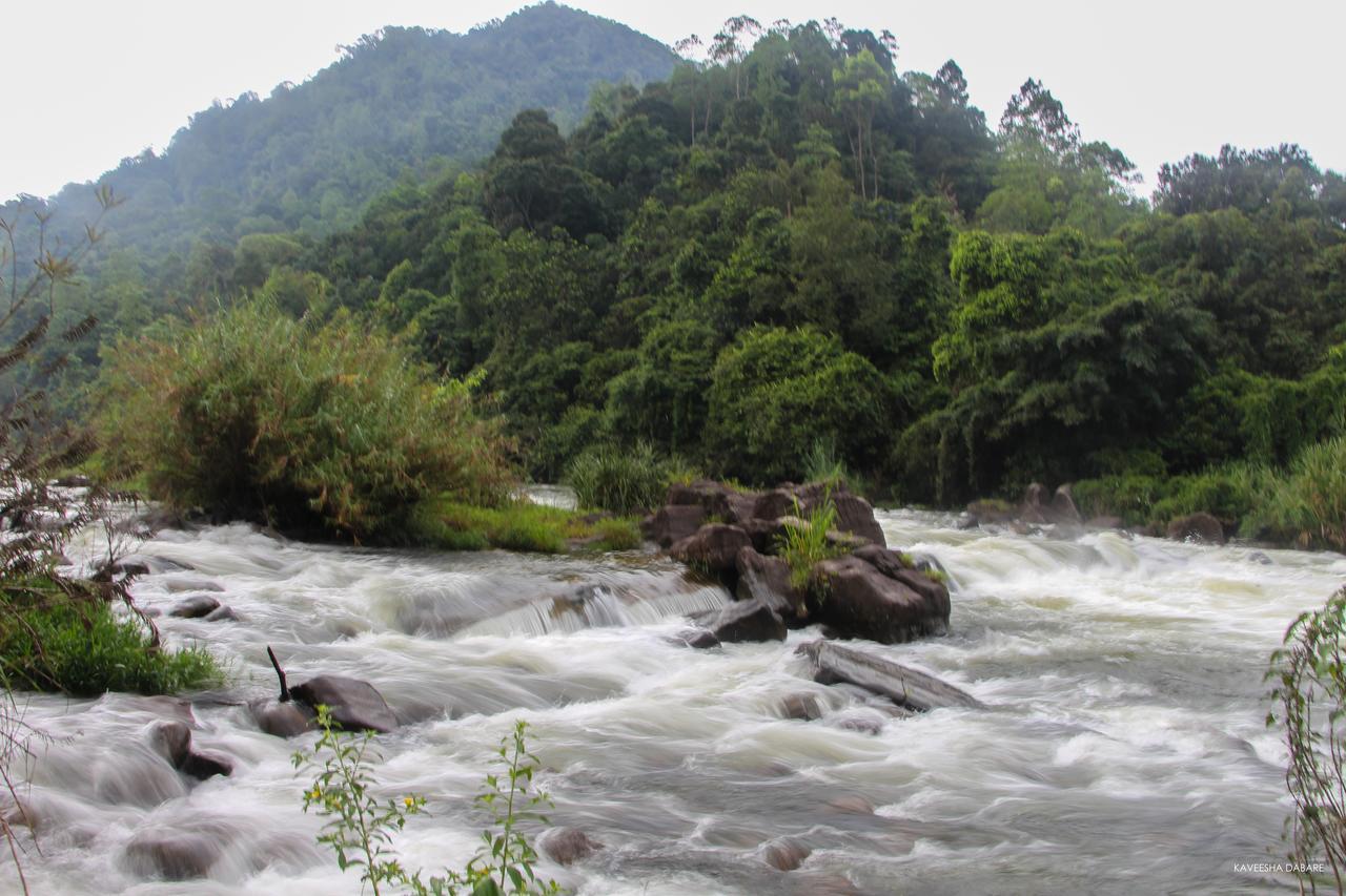 Adventure Base Camp Hotel Kitulgala Bagian luar foto