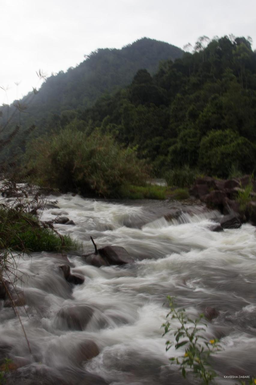 Adventure Base Camp Hotel Kitulgala Bagian luar foto