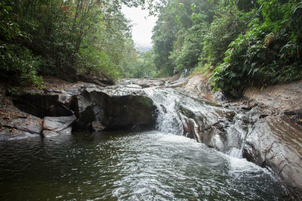 Adventure Base Camp Hotel Kitulgala Bagian luar foto