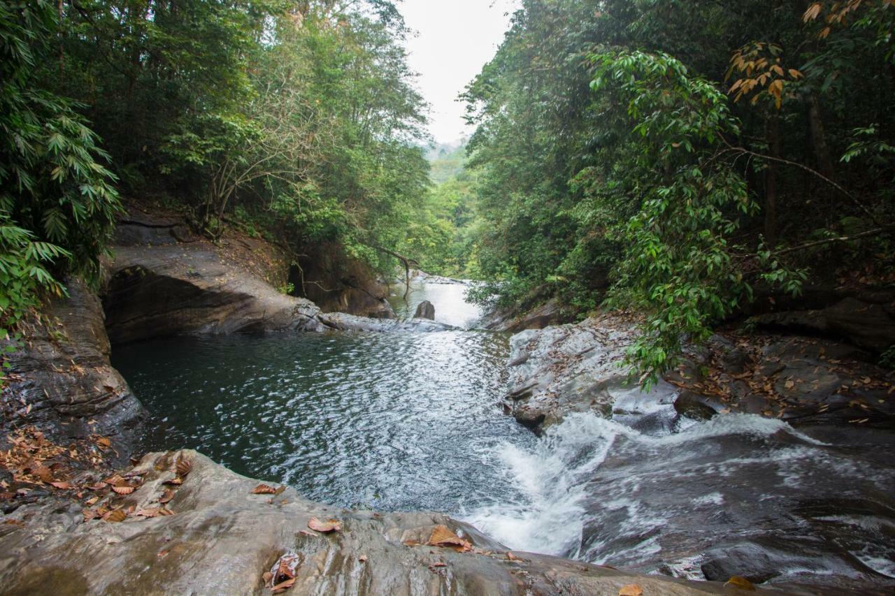 Adventure Base Camp Hotel Kitulgala Bagian luar foto